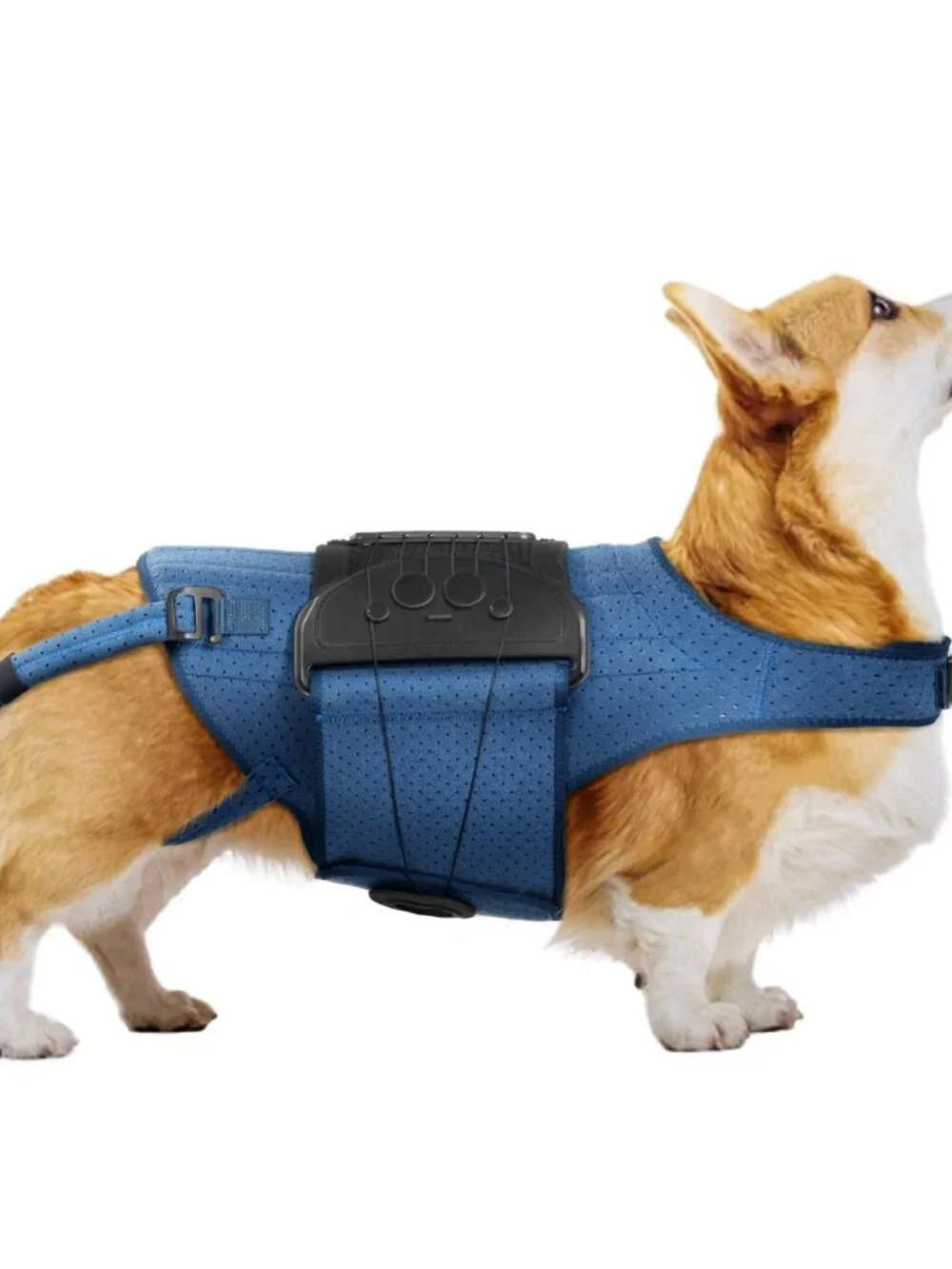Dog Back Brace for IVDD, Arthritis, Slipped and Herniated Discs